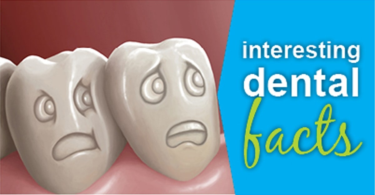 did you know interesting facts about teeth